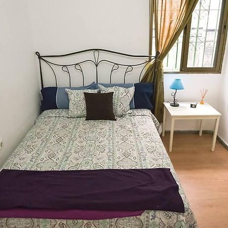 The Oasis One Spacious Apartment In Sevilla エクステリア 写真