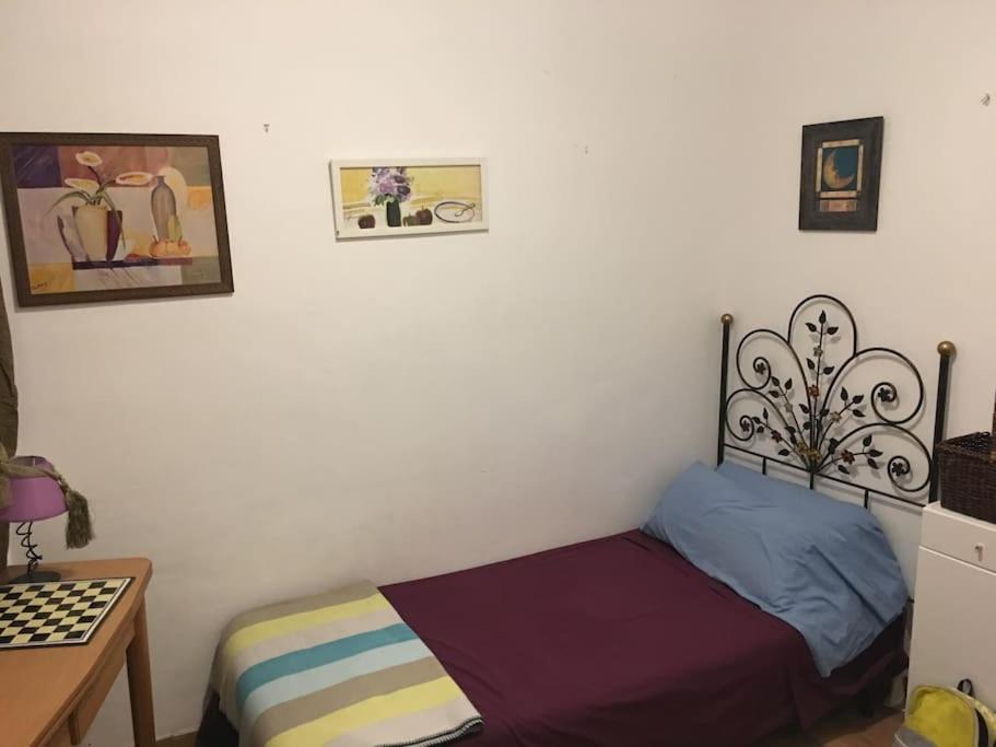 The Oasis One Spacious Apartment In Sevilla エクステリア 写真